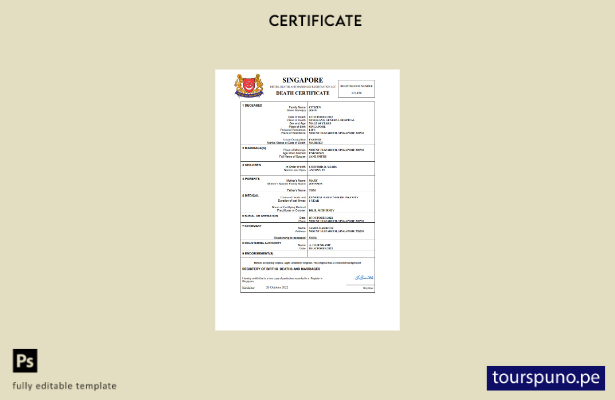 listo para imprimir certificado de desaparición del registro civil de Singapur P